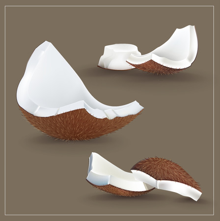 Coconut, coconut or coconut Brown Suitable for spa illustrations or other illustrations.の写真素材