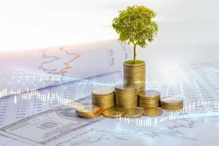 The tree is growing both on the progress of money and financial reports, along with financial...