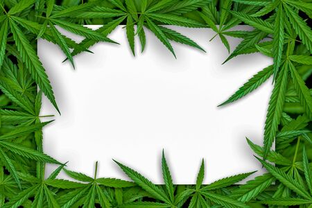 Marijuana leaf illustrations on cannabis Dark background, beautiful background, top corner pictureの写真素材