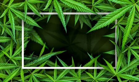 Marijuana leaf illustrations on cannabis Dark background, beautiful background, top corner pictureの写真素材