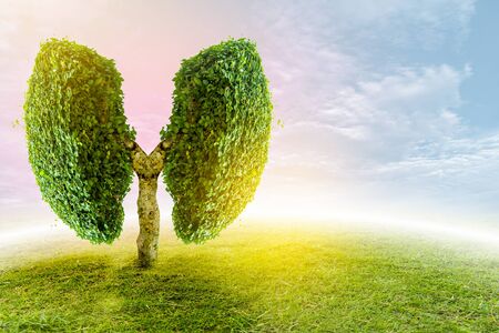Lung green tree-shaped images, medical concepts, autopsy, 3D display and animals as an elementの写真素材