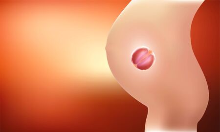 Fetus & Baby in mother's womb Fetus, illustrated with red tonesの写真素材