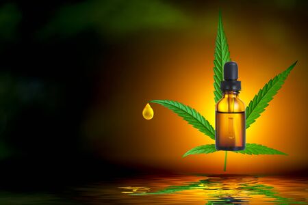 Marijuana leaf and hemp oil pictures dark background, beautiful backgroundの写真素材