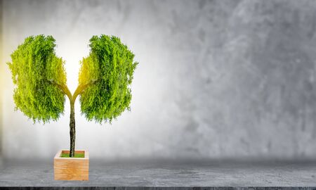 Lung green tree-shaped images, medical concepts, autopsy, 3D display and animals as an elementの写真素材