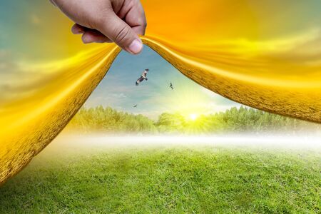 Renewable energy concept Earth Day or environment protection Hands protect forests that grow on the ground and help save the world.の写真素材