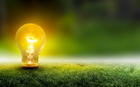Renewable energy concept Earth Day or environment protection Hands protect forests that grow on the ground and help save the world.の写真素材