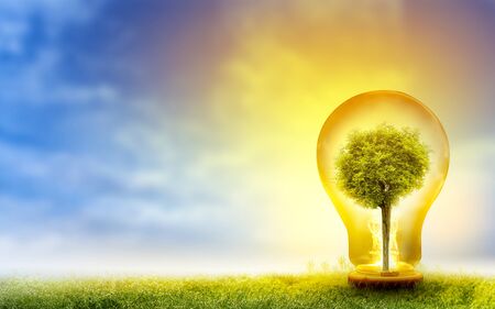 Renewable energy concept Earth Day or environment protection Hands protect forests that grow on the ground and help save the world.の写真素材