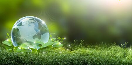 Renewable energy concept Earth Day or environment protection Hands protect forests that grow on the ground and help save the world.の写真素材