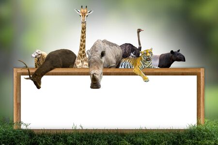 Wildlife Conservation Day Wild animals to the home. Or wildlife protectionの写真素材