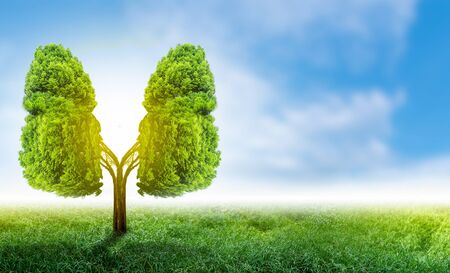 Lung green tree-shaped images, medical concepts, autopsy, 3D display and animals as an elementの写真素材