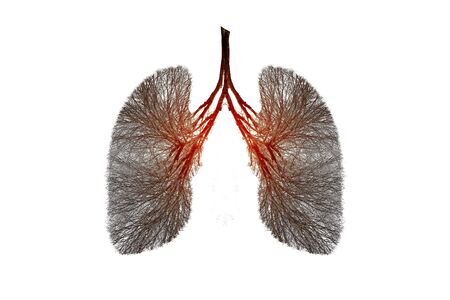 Illustration of lung tree (Environment and Medicine)