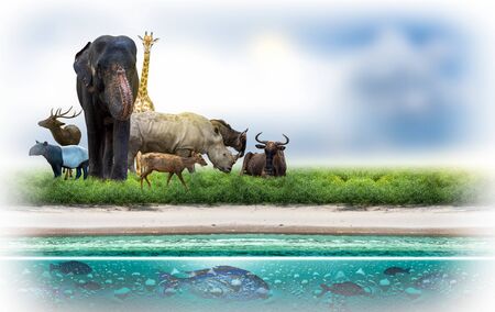 Wildlife Conservation Day Wild animals to the home. Or wildlife protectionの写真素材