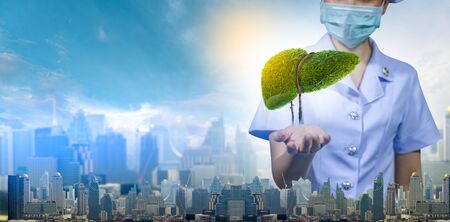Illustration of a tree in the shape of a liver (environment and medicine)の写真素材