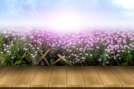 (Background) Beautiful and foggy flowers in beautiful abstract patternsの写真素材
