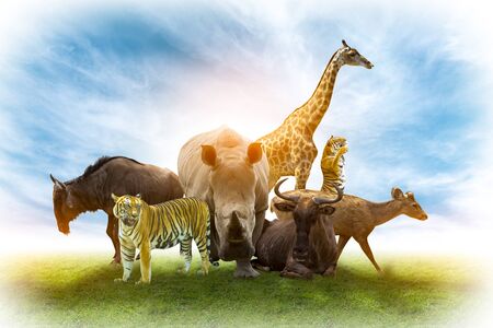 Wildlife Conservation Day Wild animals to the home. Or wildlife protectionの写真素材