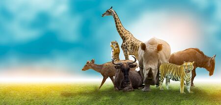 Wildlife Conservation Day Wild animals to the home. Or wildlife protectionの写真素材