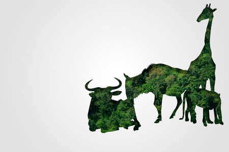 Wildlife Conservation Day Wild animals to the home. Or wildlife protectionの写真素材