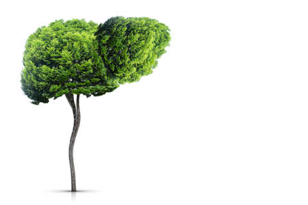 Illustration of a tree in the shape of a liver (environment and medicine)の写真素材