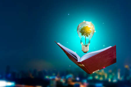 Renewable energy concept Earth Day or environment protection Hands protect forests that grow on the ground and help save the world.の写真素材