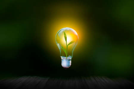 Renewable energy concept Earth Day or environment protection Hands protect forests that grow on the...