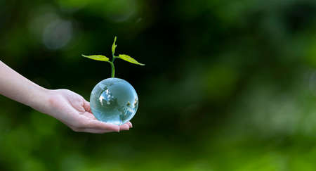 3D illustration Renewable energy concept Earth Day or environmental protection Protect the forests that grow on the ground and help save the planet.の写真素材