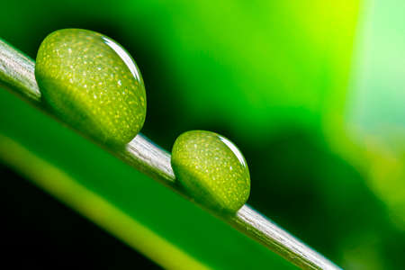 3D illustration Renewable energy concept Earth Day or environmental protection Protect the forests...