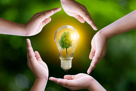 3D illustration Renewable energy concept Earth Day or environmental protection Protect the forests that grow on the ground and help save the planet.の写真素材