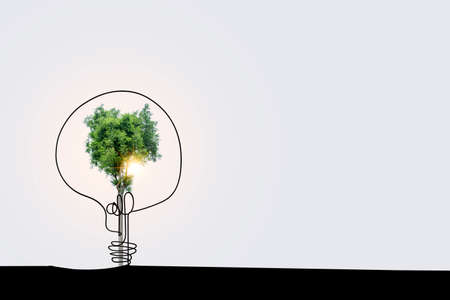 3D illustration Renewable energy concept Earth Day or environmental protection Protect the forests that grow on the ground and help save the planet.の写真素材