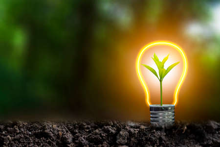 3D illustration Renewable energy concept Earth Day or environmental protection Protect the forests that grow on the ground and help save the planet.の写真素材