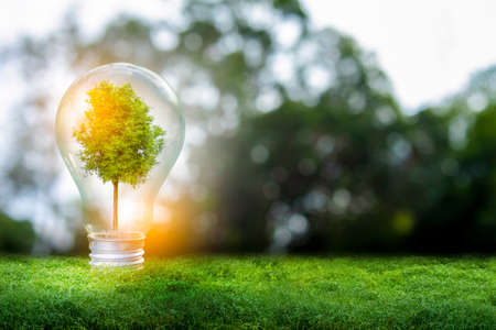3D illustration Renewable energy concept Earth Day or environmental protection Protect the forests that grow on the ground and help save the planet.の写真素材