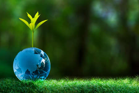 3D illustration Renewable energy concept Earth Day or environmental protection Protect the forests that grow on the ground and help save the planet.の写真素材