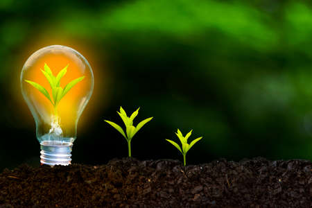Renewable energy concept Earth Day or environment protection Hands protect forests that grow on the ground and help save the world.の写真素材