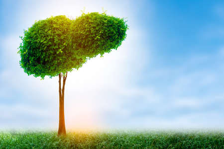 Realistic liver images are human green tree shapes about diseases and cirrhosis (environment).の写真素材