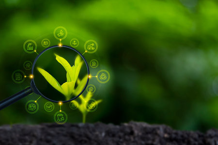 Renewable energy concept Earth Day or environment protection Hands protect forests that grow on the ground and help save the world.の写真素材