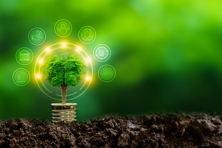 Renewable energy concept Earth Day or environment protection Hands protect forests that grow on the ground and help save the world.の写真素材