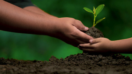 Planting trees, loving the environment and protecting nature Nourishing the plants World Environment Day To help the world look beautifulの写真素材