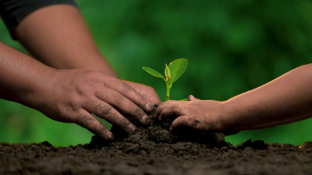 Planting trees, loving the environment and protecting nature Nourishing the plants World Environment Day To help the world look beautifulの写真素材