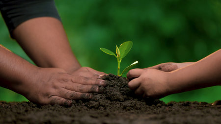 Planting trees, loving the environment and protecting nature Nourishing the plants World Environment Day To help the world look beautifulの写真素材