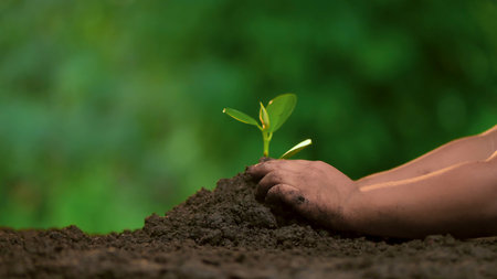 Planting trees, loving the environment and protecting nature Nourishing the plants World Environment Day To help the world look beautifulの写真素材
