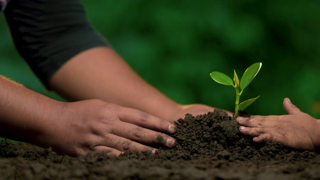 Planting trees, loving the environment and protecting nature Nourishing the plants World Environment Day To help the world look beautifulの写真素材