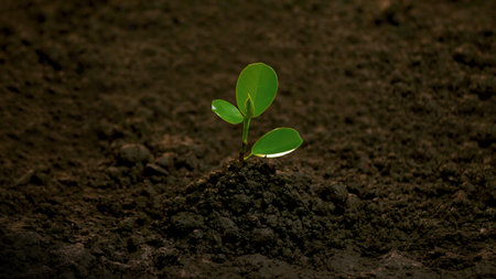 Planting trees, loving the environment and protecting nature Nourishing the plants World Environment Day To help the world look beautifulの写真素材