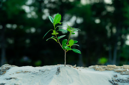 3D illustration Renewable energy concept Earth Day or environmental protection Protect the forests that grow on the ground and help save the planet.の写真素材