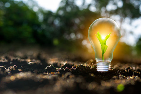 Renewable energy concept Earth Day or environment protection Hands protect forests that grow on the ground and help save the world.の写真素材