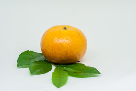 Orange fruit on white background.の写真素材