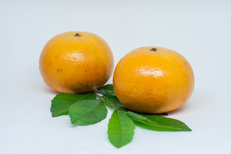 Orange fruit on white background.の写真素材