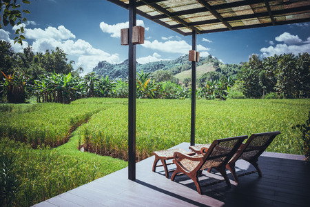 View of rice field at Northern Thailand.の写真素材