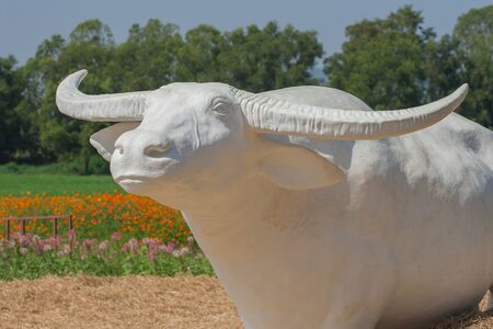 Sculpture of white buffalo standing on straw, Thailandの写真素材