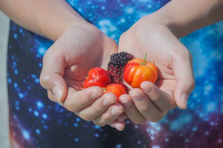 Children holding cherry and raspberry in hand.の写真素材