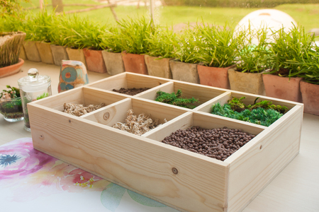 Close up raw material in small wooden container for garden decoration in clay pot. (Autumn filter effect)の写真素材
