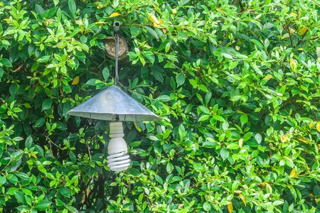 Vintage lamp hanging on green trees at outdoor garden.の写真素材
